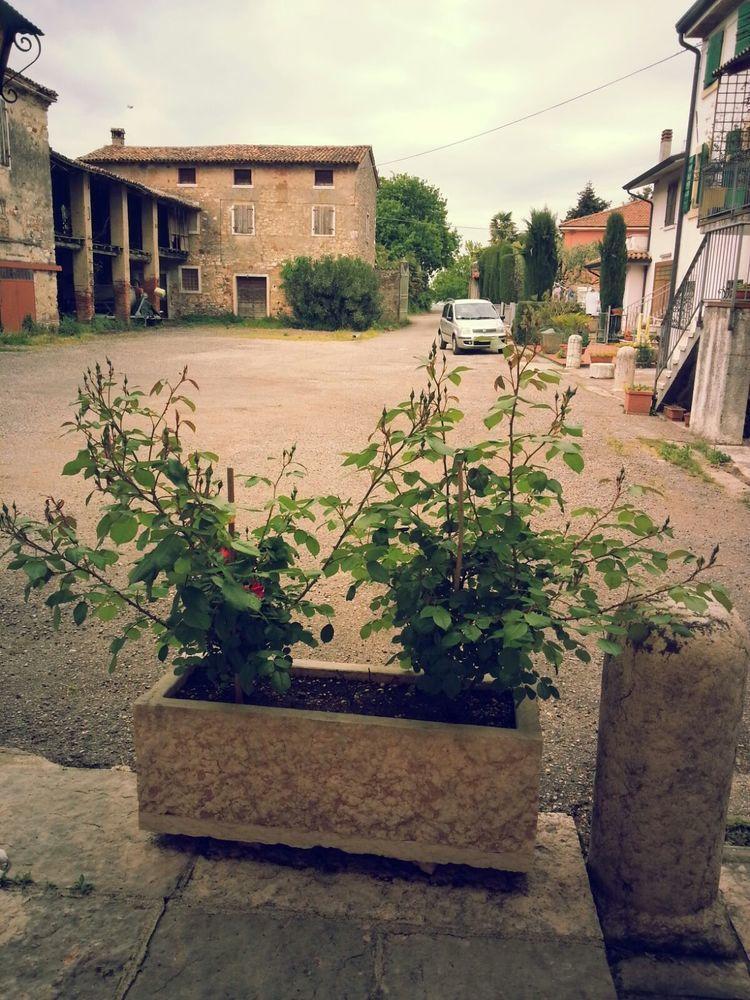 Albergo Mio Lazise Extérieur photo